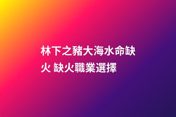 林下之豬大海水命缺火 缺火職業選擇